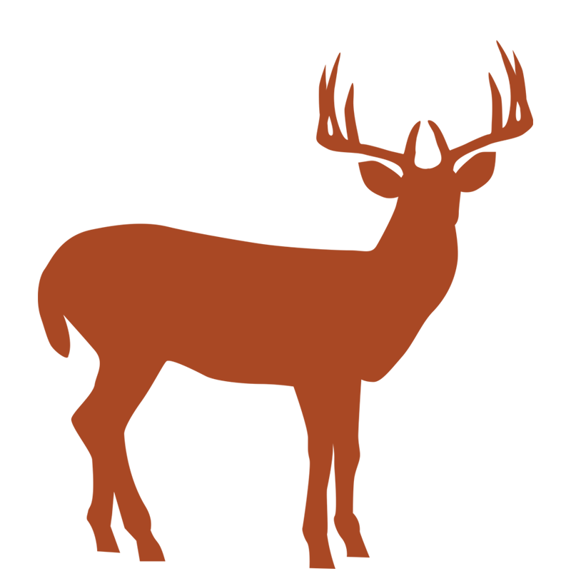 whitetail-icon-hover