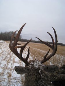 north-river-outfitting-alberta-whitetail-deer-hunting-oufitter318