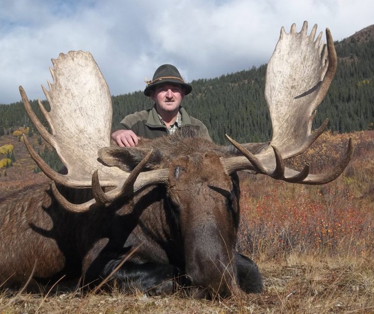 British Columbia Moose Hunts From Remote Fly-In Camps