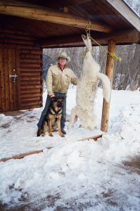 north-river-outfitting-british-columbia-wolf-hunting-outfitter276