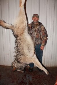 north-river-outfitting-british-columbia-wolf-hunting-outfitter279