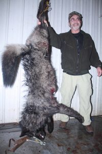 north-river-outfitting-british-columbia-wolf-hunting-outfitter280