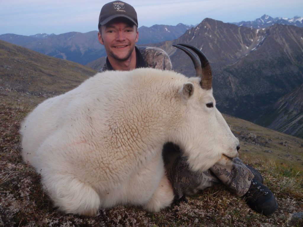 How Much Do You Really Know about Mountain Goats? - North River Outfitting