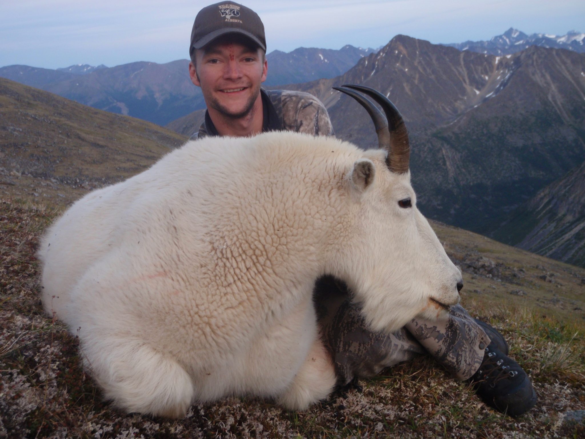 how-much-do-you-really-know-about-mountain-goats-north-river-outfitting