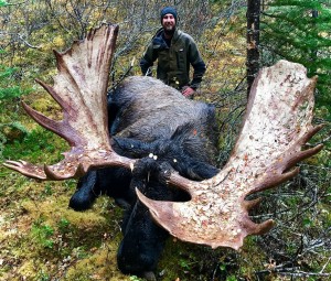 British Columbia Moose Hunts From Remote Fly-In Camps